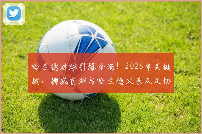 哈兰德进球引爆全场!2026年关键战,挪威首相与哈兰德父亲及足协主席共庆胜利画面曝光